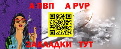 jwh Кингисепп