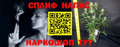 ECSTASY Кимры