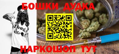 jwh Кингисепп