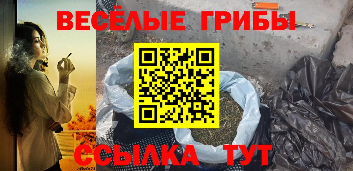 Галлюциногенные грибы MAGIC MUSHROOMS Костомукша