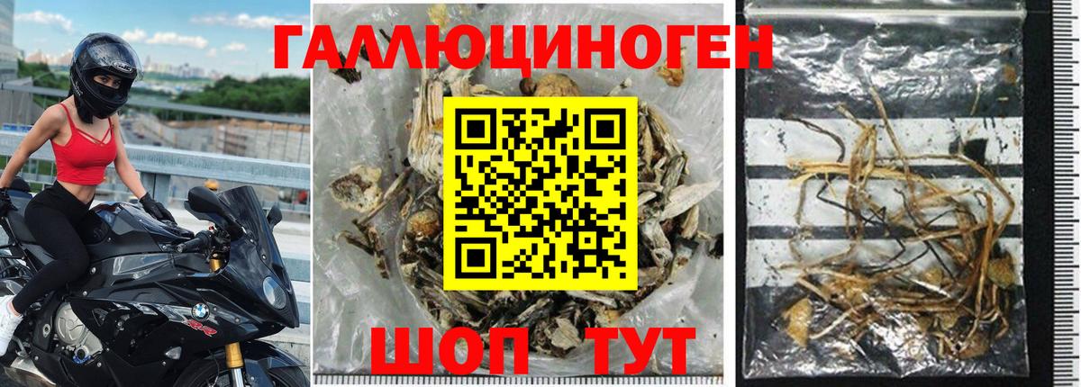 Псилоцибиновые грибы MAGIC MUSHROOMS  Вход с VPN  Псилоцибиновые грибы мицелий  Костомукша 